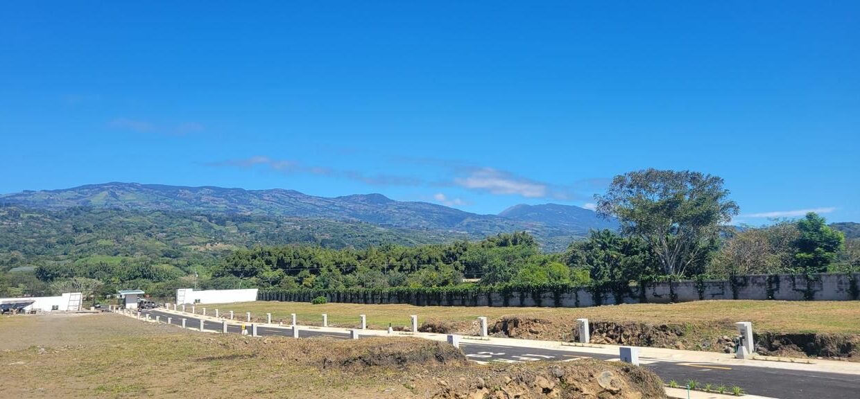 WhatsApp Image 2026-03-03 at 15.10.30 (7)