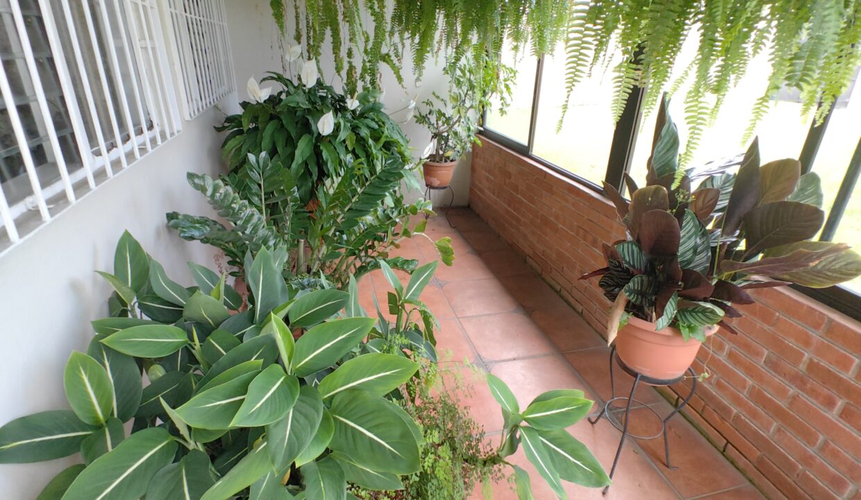 Casa Molino 2025-04-23 at 15.34.50 (1)