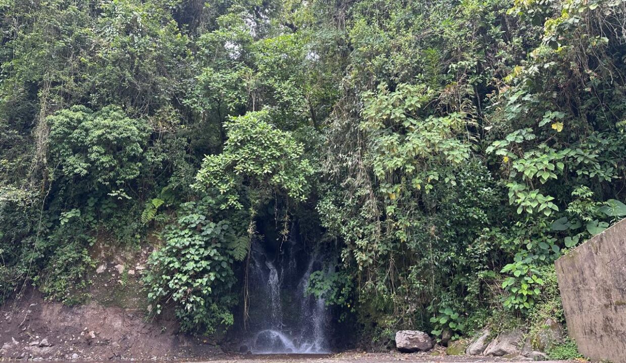 WhatsApp Image 2025-04-30 at 18.26.19 (2)