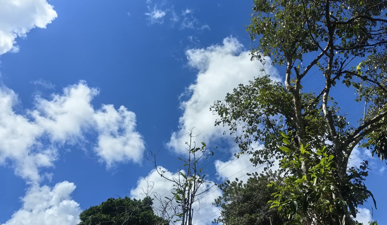 WhatsApp Image 2026-01-14 at 16.25.36 (1)