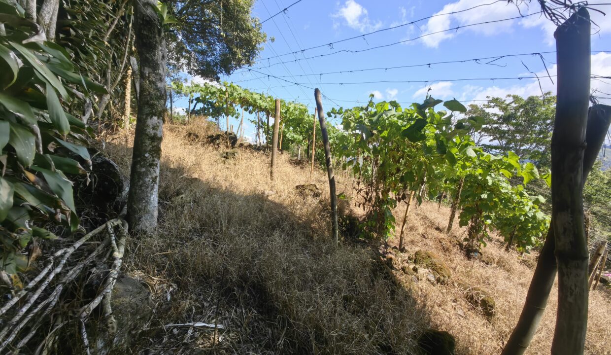 WhatsApp Image 2026-01-14 at 16.25.41