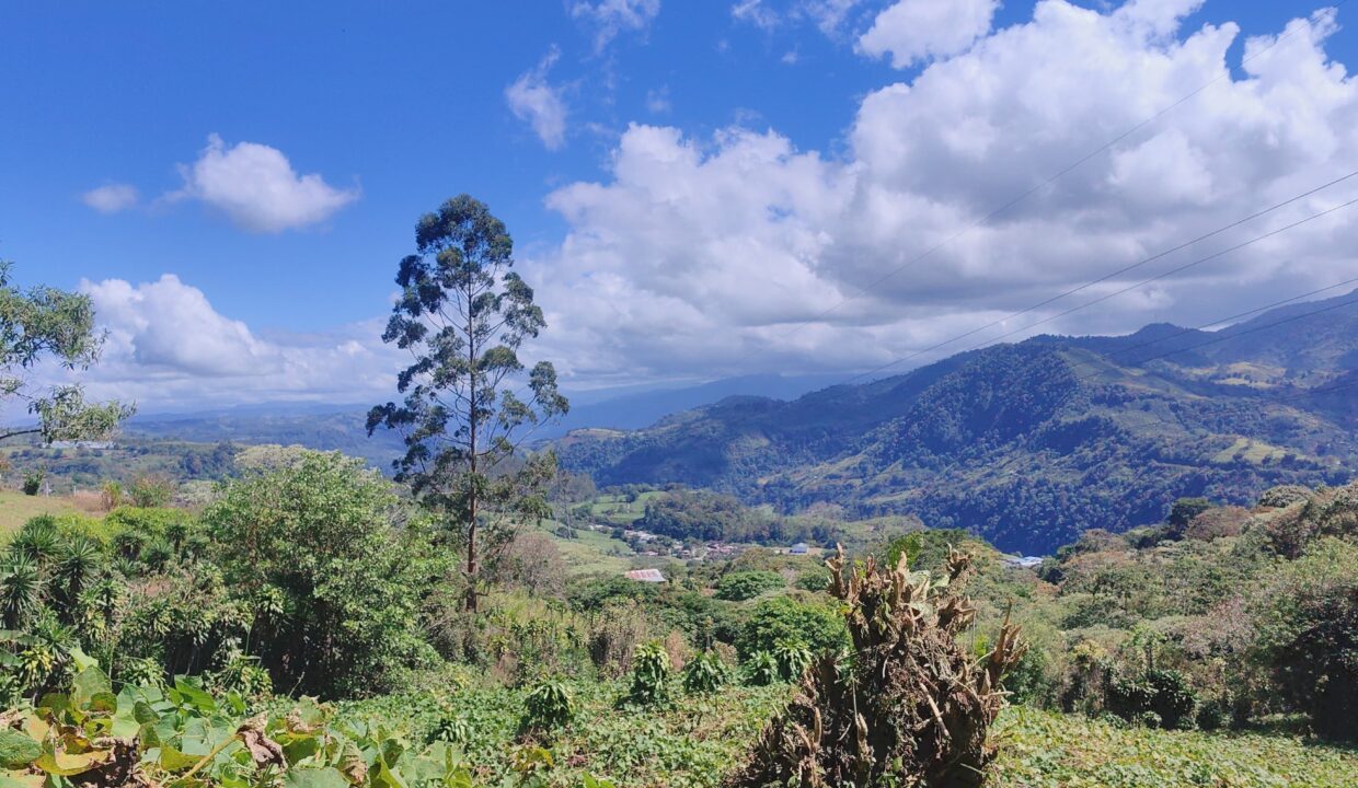 WhatsApp Image 2026-01-14 at 16.25.45