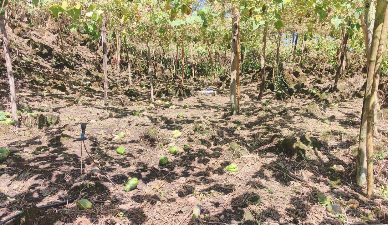 WhatsApp Image 2026-01-14 at 16.25.57