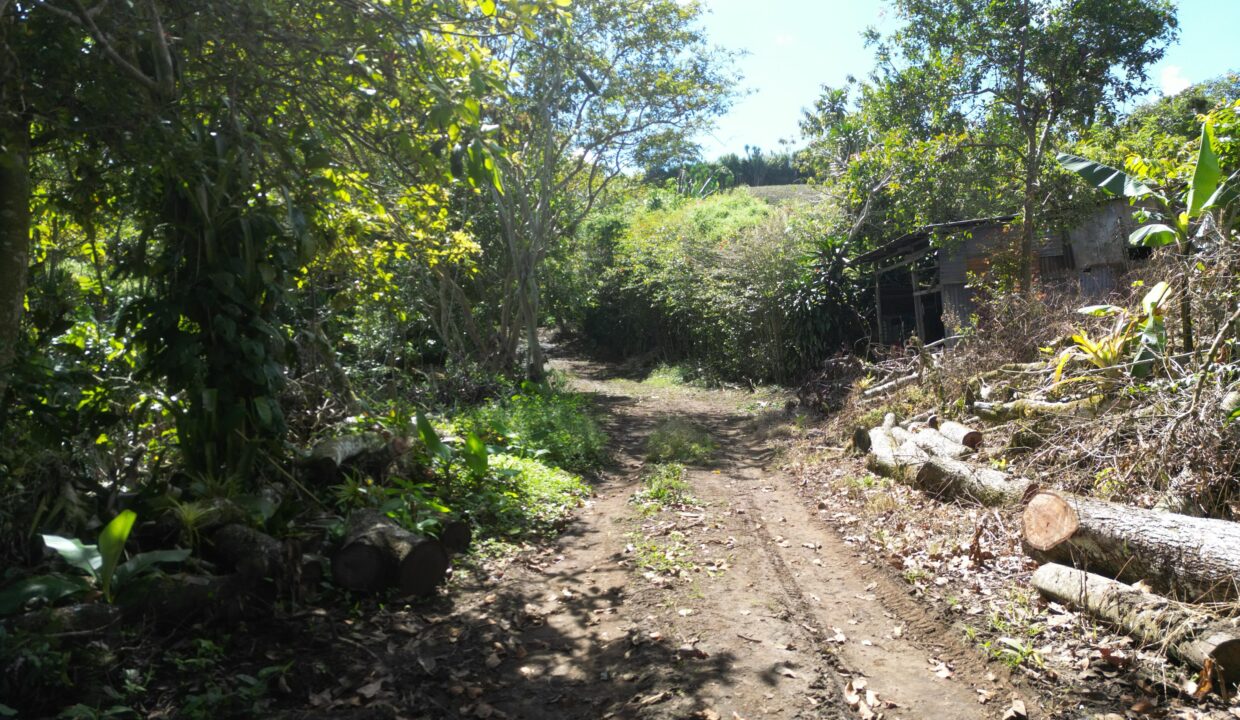 WhatsApp Image 2026-01-14 at 16.26.53