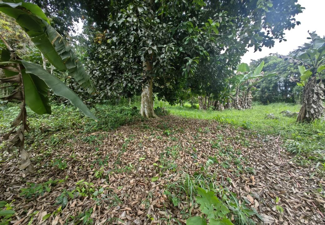 WhatsApp Image 2025-08-16 at 15.03.03 (4)