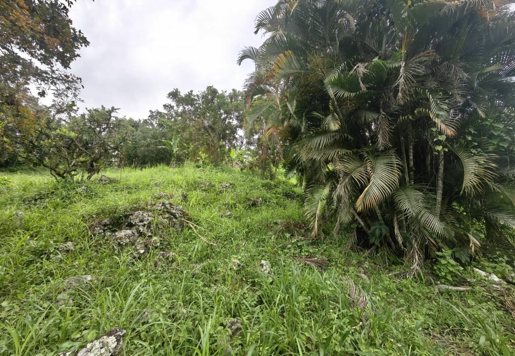 WhatsApp Image 2025-08-16 at 15.03.04 (1)