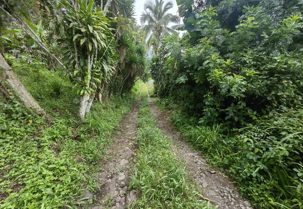 WhatsApp Image 2025-08-16 at 15.03.05 (1)