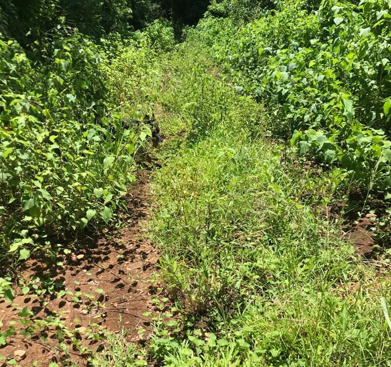 WhatsApp Image 2025-11-20 at 10.45.50 (1)