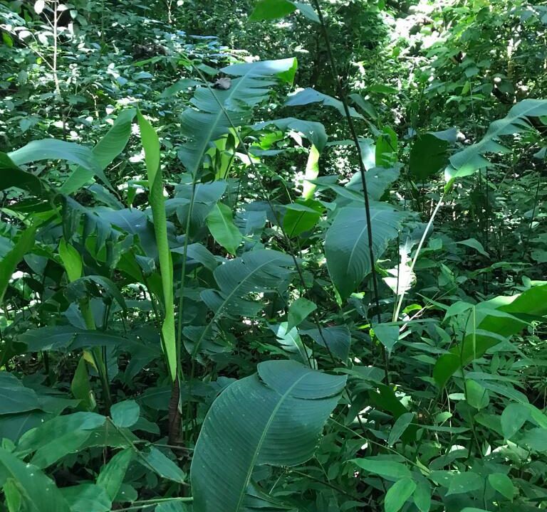 WhatsApp Image 2025-11-20 at 10.45.53 (1)