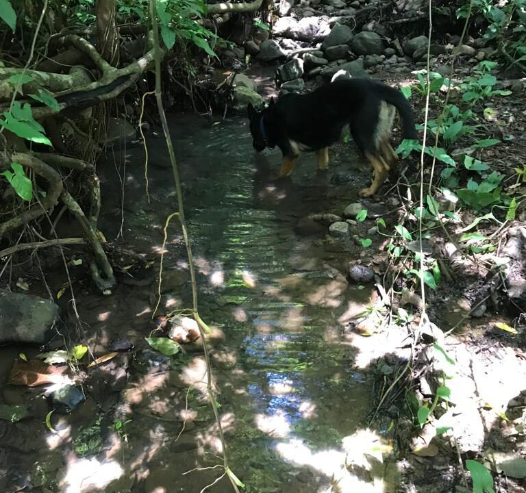 WhatsApp Image 2025-11-20 at 10.45.53 (2)