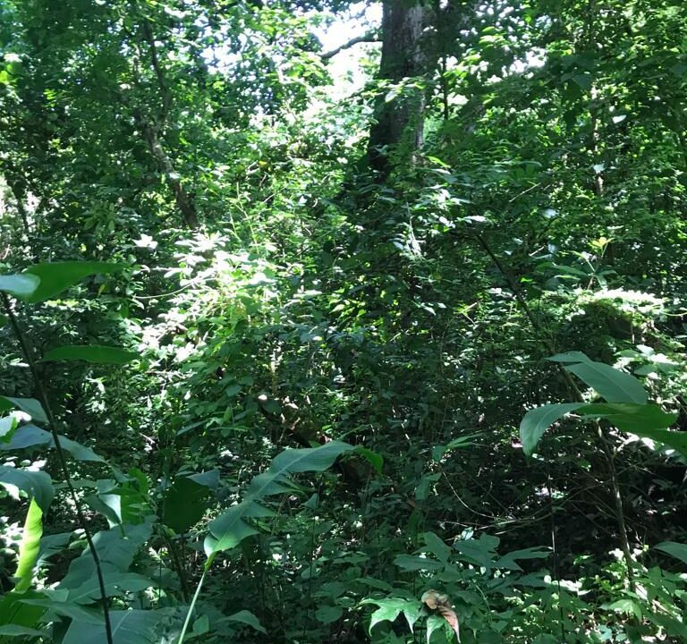 WhatsApp Image 2025-11-20 at 10.45.53