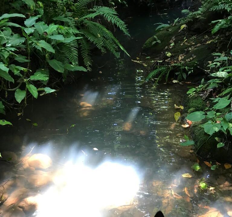 WhatsApp Image 2025-11-20 at 10.45.55 (1)