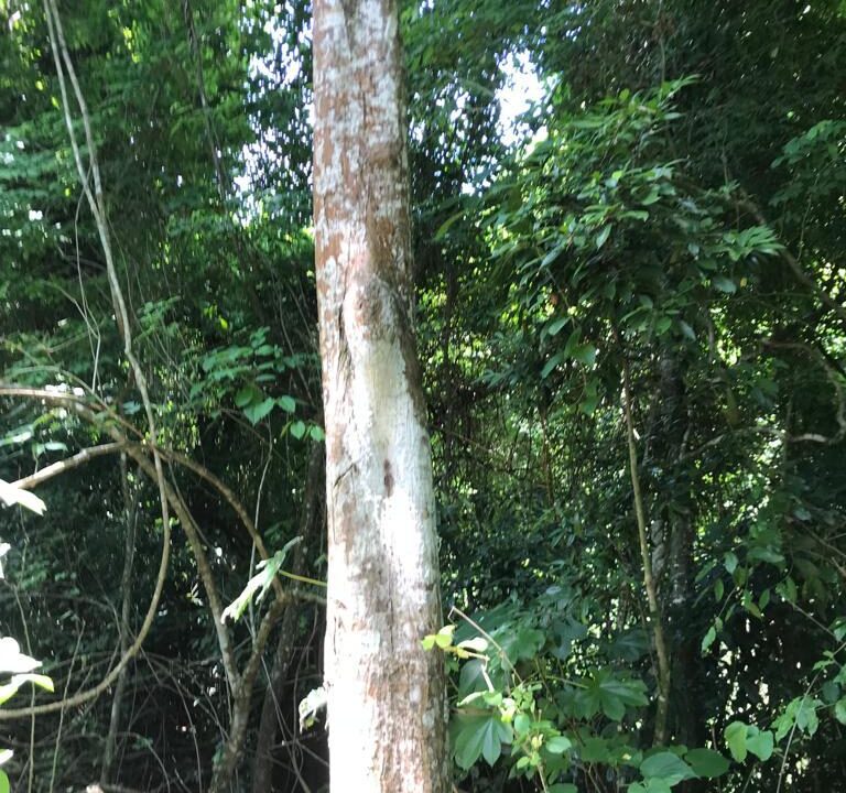 WhatsApp Image 2025-11-20 at 10.45.57 (1)