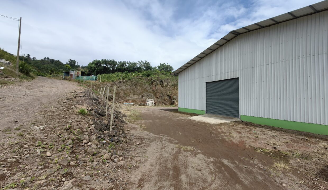 WhatsApp Image 2025-11-27 at 19.01.35