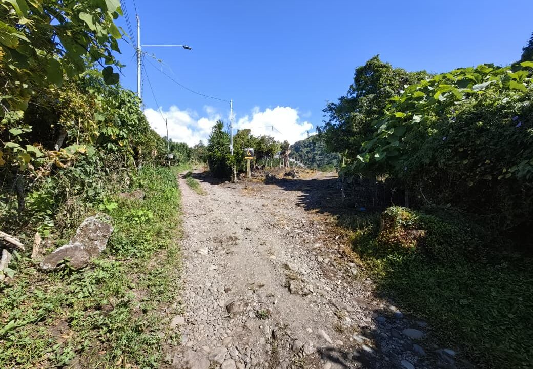 WhatsApp Image 2025-12-08 at 11.23.16