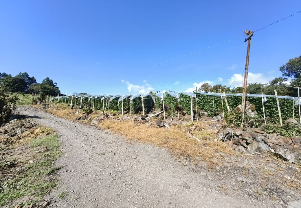 WhatsApp Image 2025-12-08 at 11.23.23 (1)