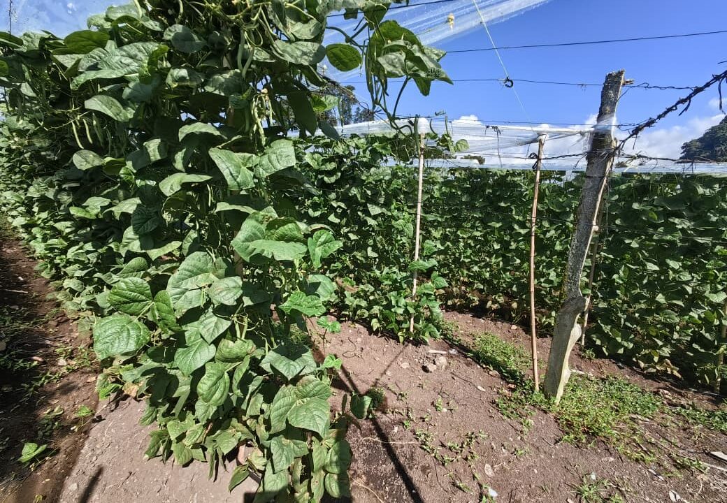 WhatsApp Image 2025-12-08 at 11.23.23 (2)