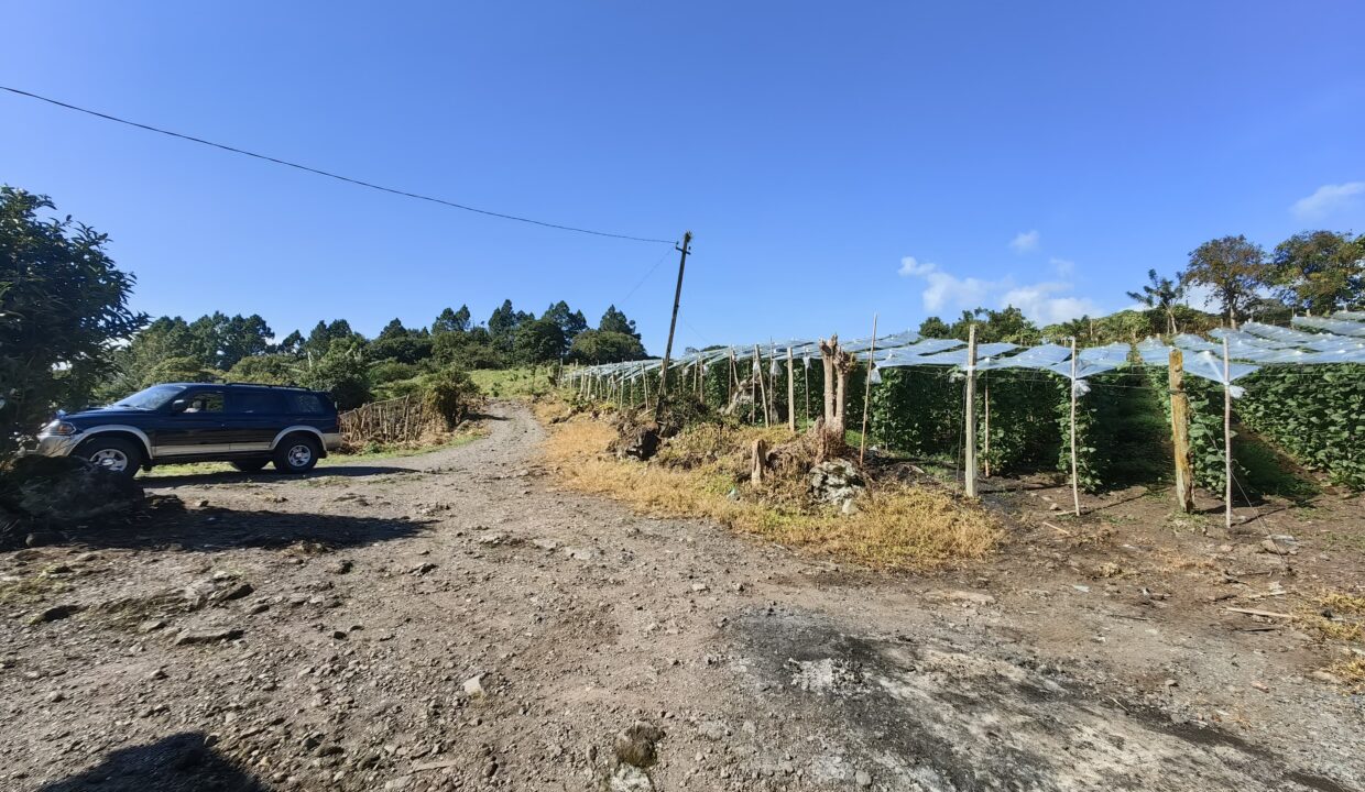 WhatsApp Image 2025-12-08 at 11.24.28