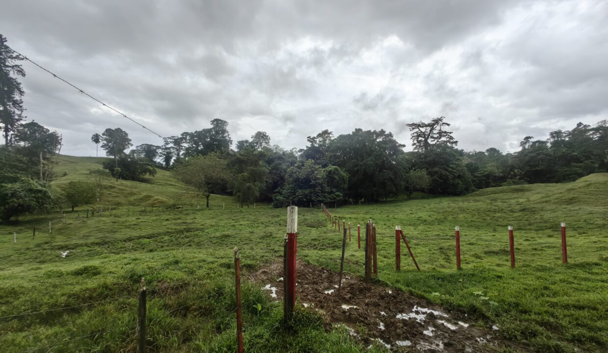 WhatsApp Image 2025-12-14 at 10.54.43 (2)