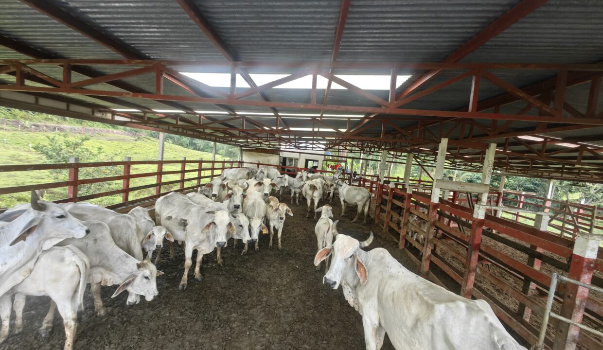 WhatsApp Image 2025-12-14 at 10.54.43 (3)