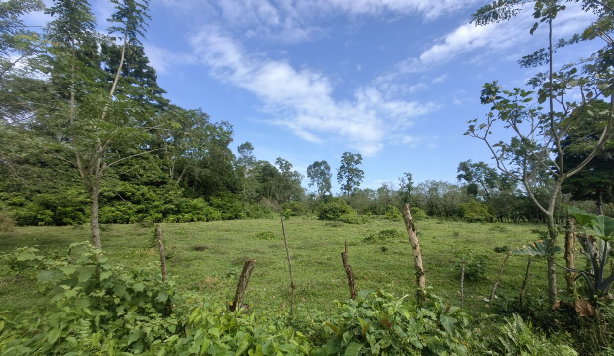 WhatsApp Image 2025-12-14 at 10.56.45 (2)