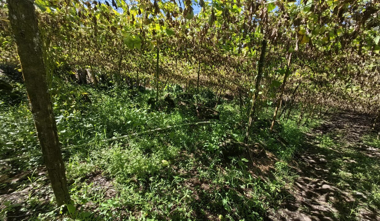 WhatsApp Image 2025-12-15 at 17.49.04 (1)