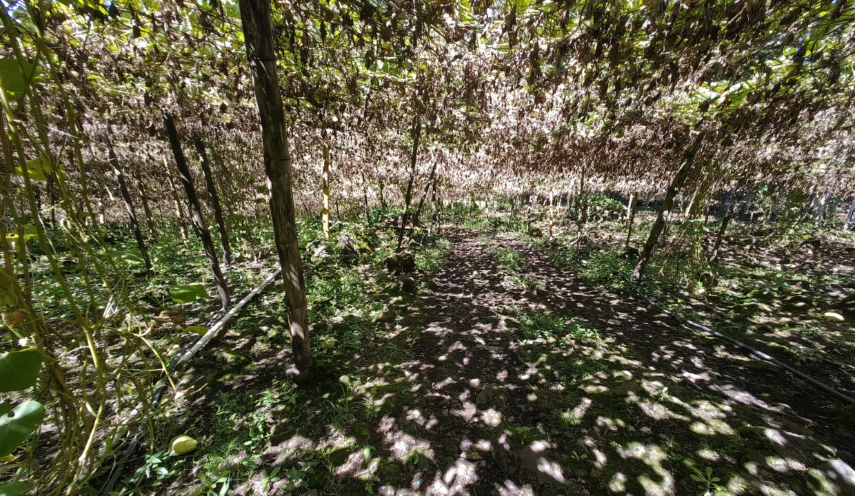 WhatsApp Image 2025-12-15 at 17.49.04