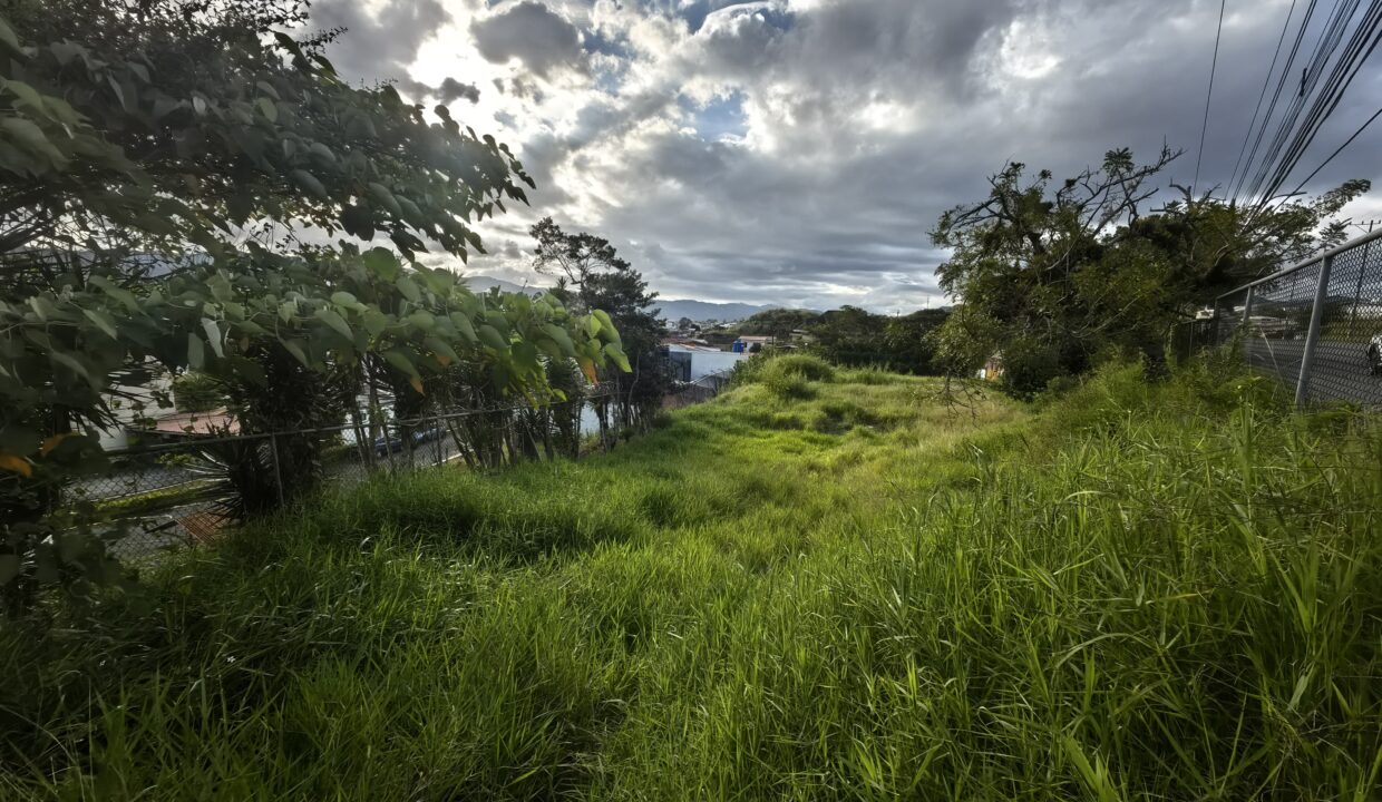 WhatsApp Image 2025-12-16 at 16.22.59