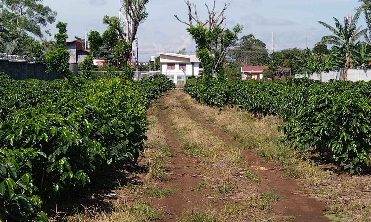 WhatsApp Image 2025-09-26 at 08.57.50 (1)