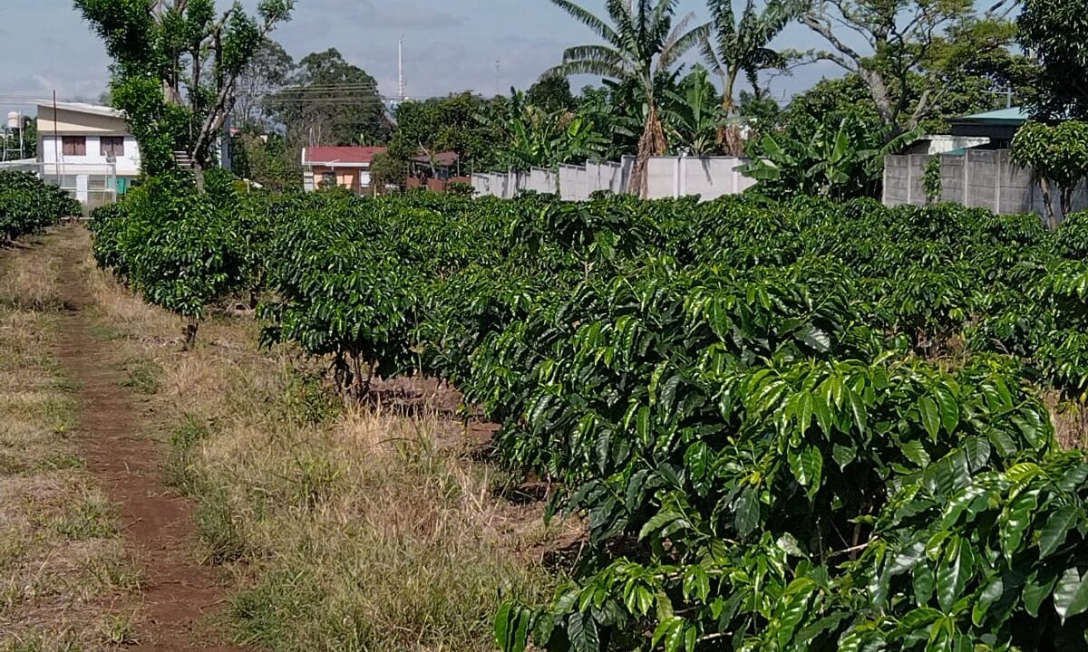 WhatsApp Image 2025-09-26 at 08.57.50