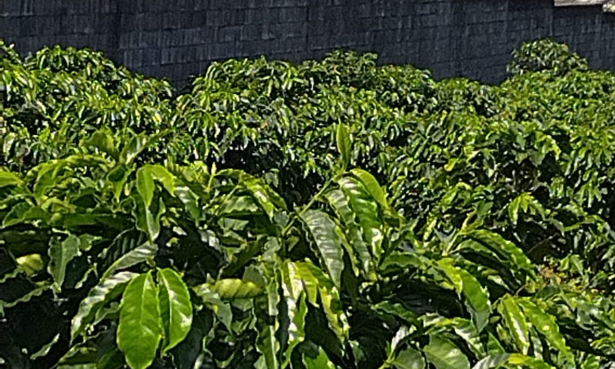 WhatsApp Image 2025-09-26 at 08.57.51 (1)