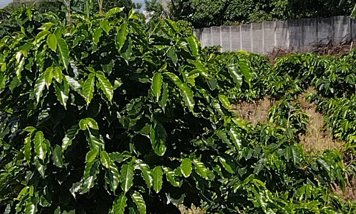 WhatsApp Image 2025-09-26 at 08.57.51 (2)