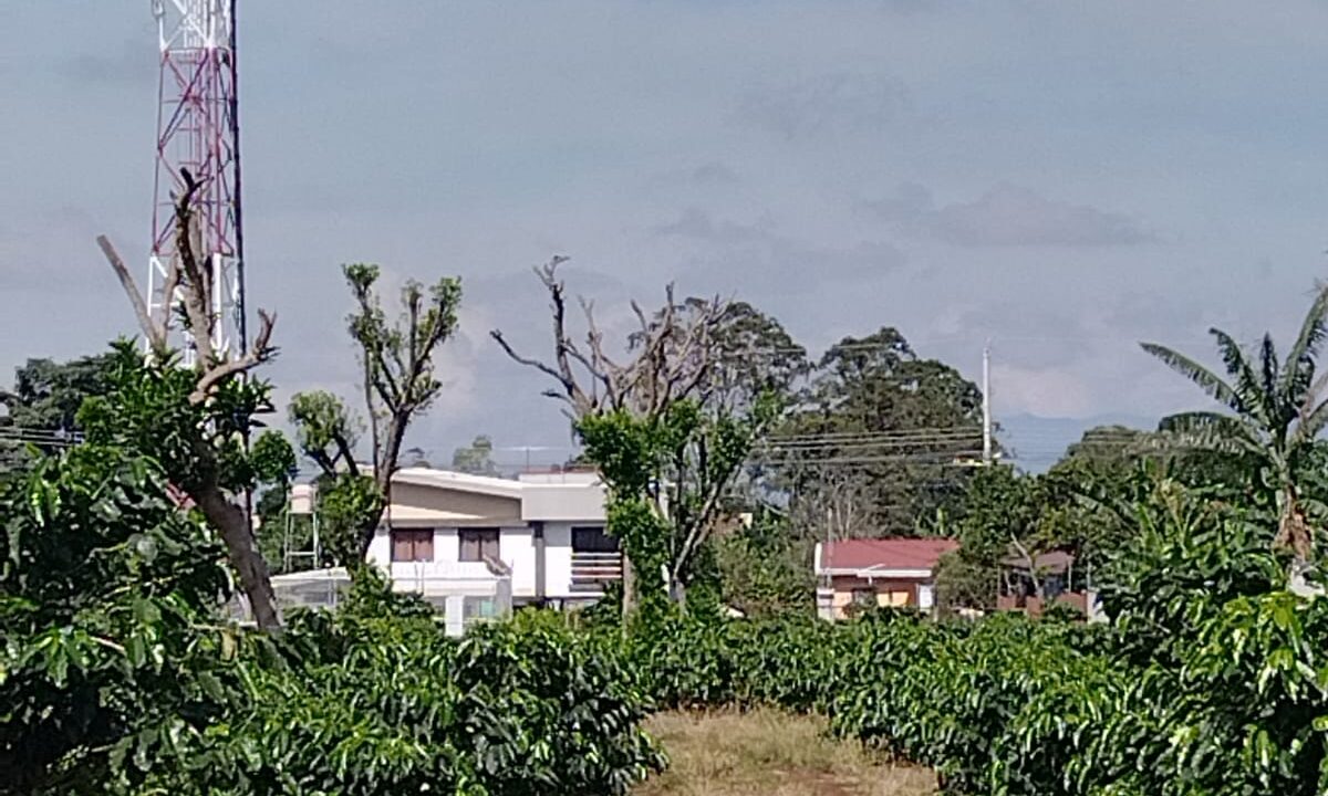 WhatsApp Image 2025-09-26 at 08.57.51 (3)