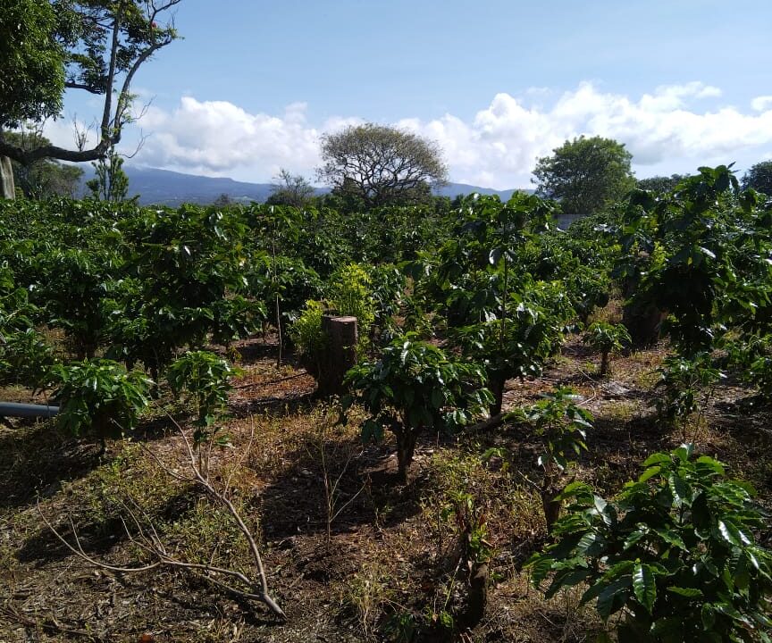 WhatsApp Image 2025-09-26 at 09.01.49