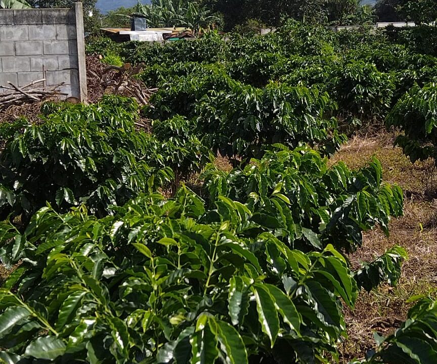 WhatsApp Image 2025-09-26 at 09.01.51