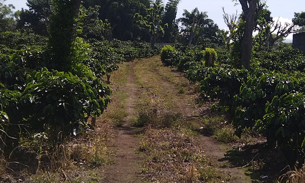 WhatsApp Image 2025-09-26 at 09.03.53 (1)