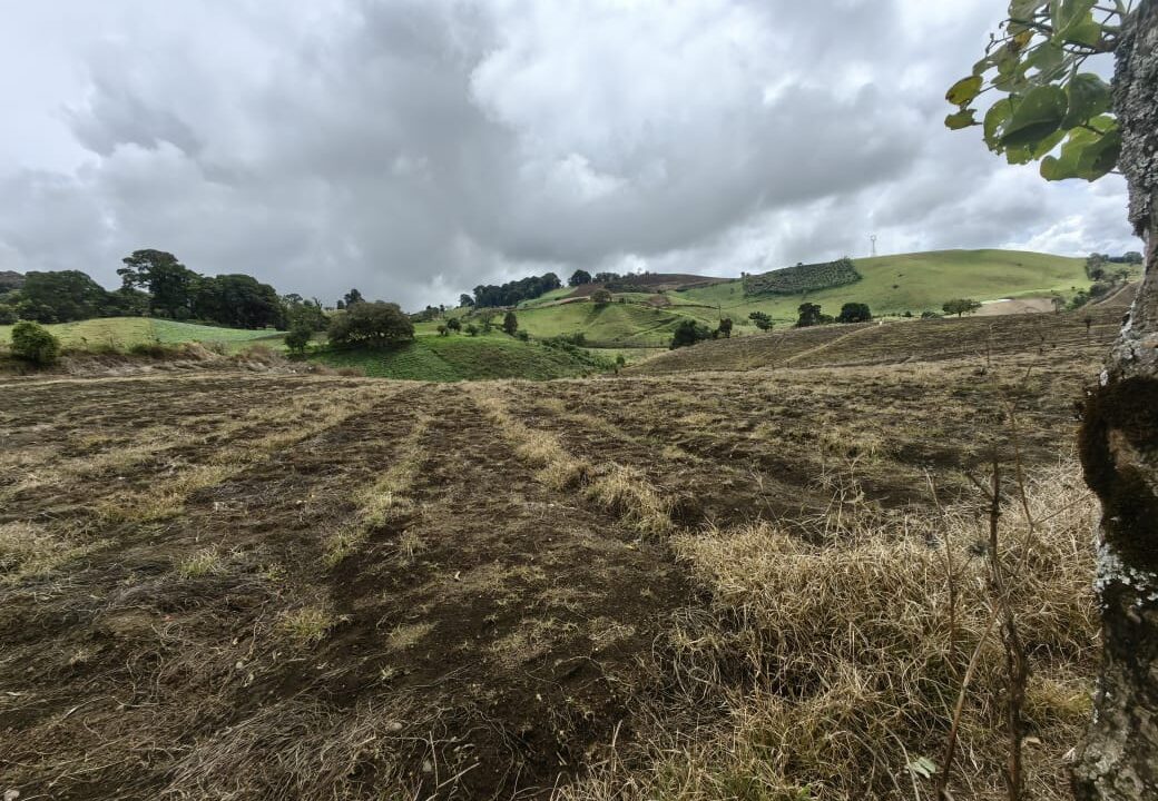 WhatsApp Image 2025-11-06 at 18.12.31 (1)