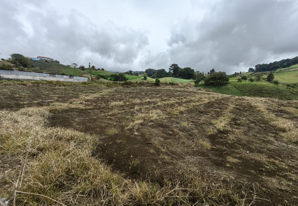 WhatsApp Image 2025-11-06 at 18.12.31 (2)