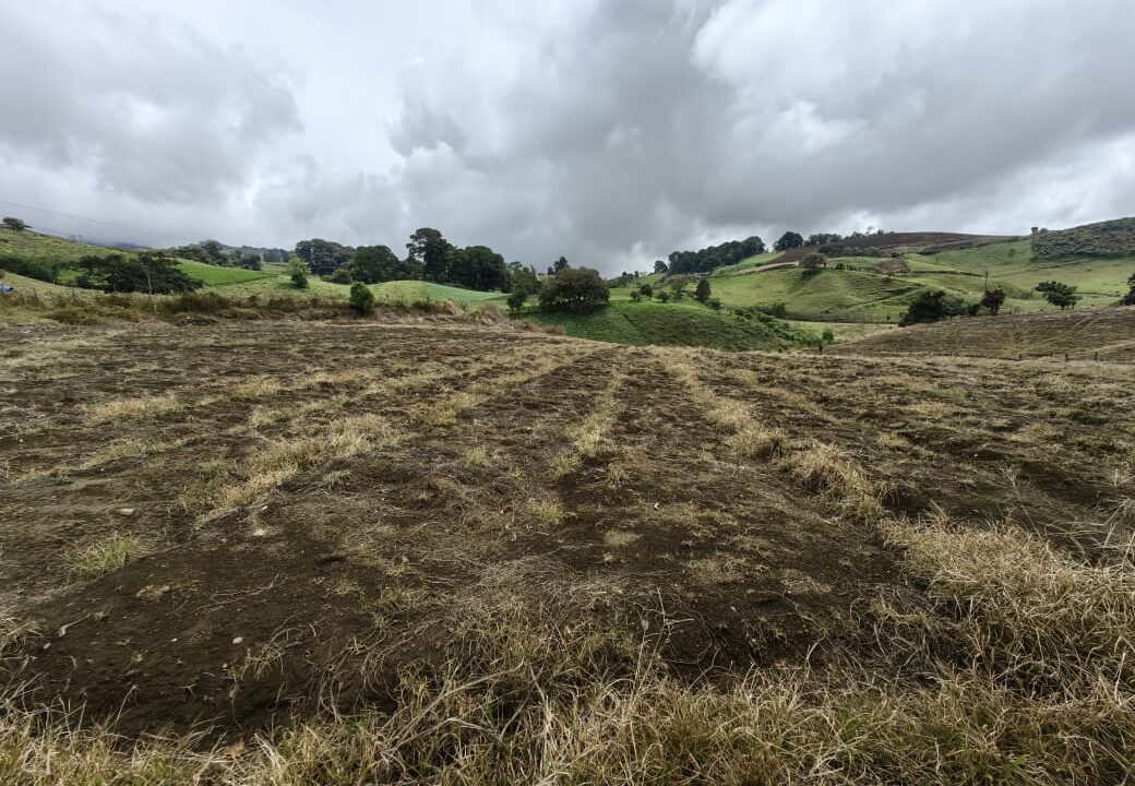 WhatsApp Image 2025-11-06 at 18.12.31 (3)