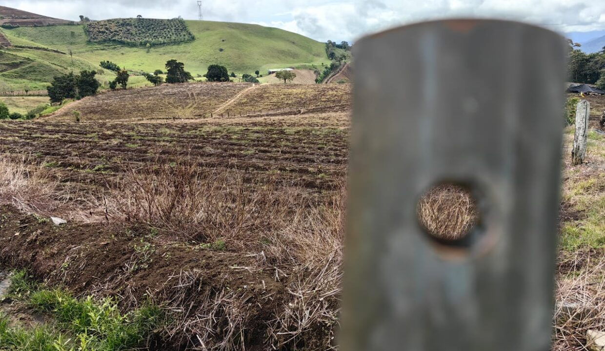 WhatsApp Image 2025-11-06 at 18.12.32 (1)