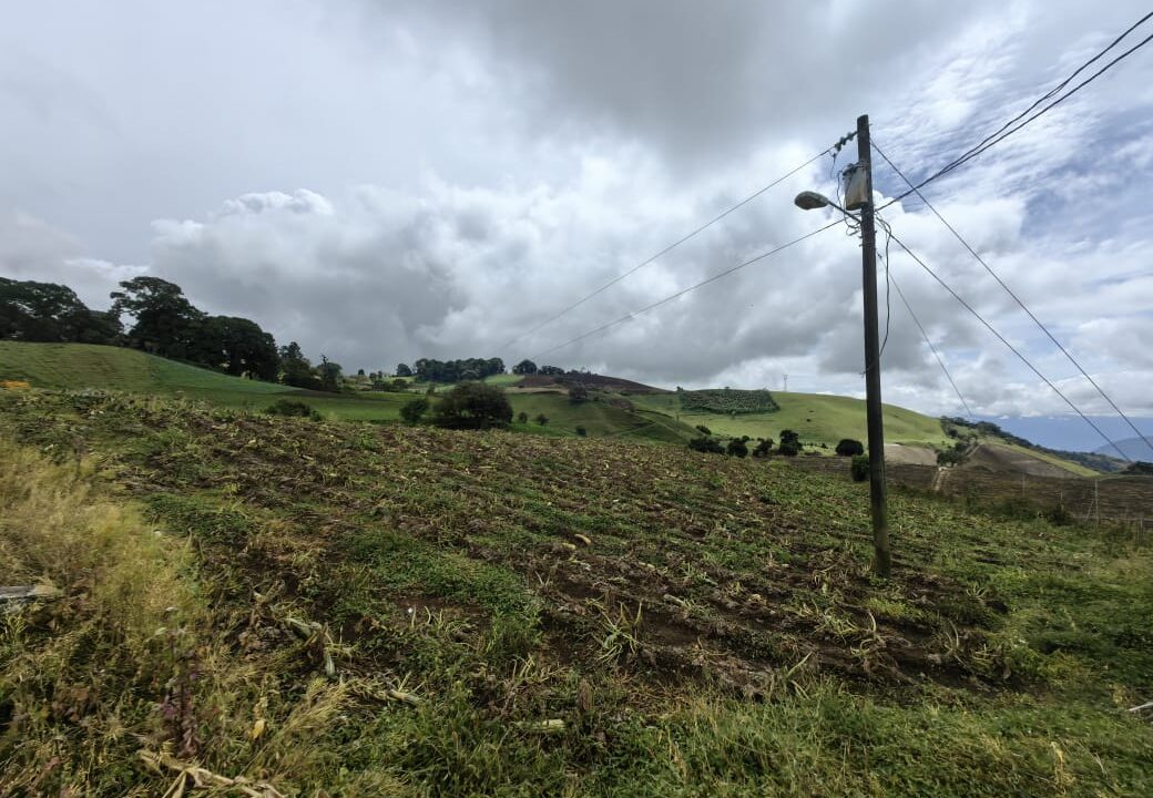 WhatsApp Image 2025-11-06 at 18.12.32 (2)