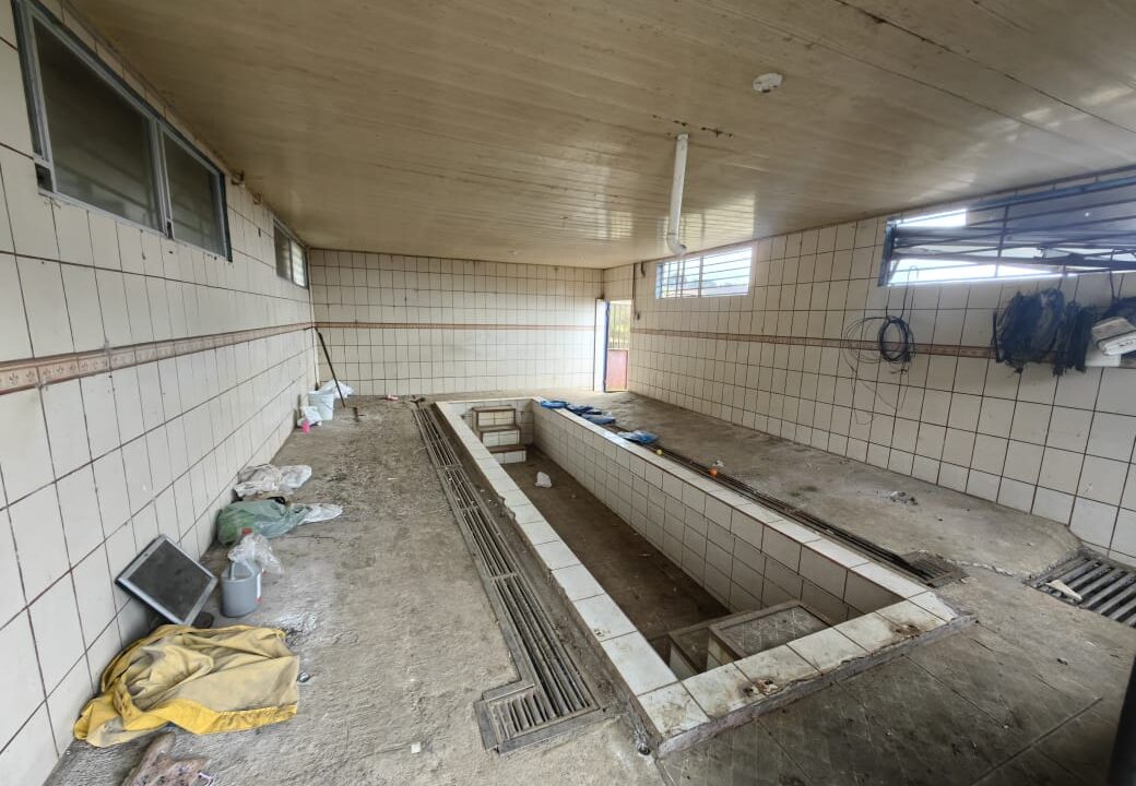 WhatsApp Image 2025-11-06 at 18.12.32 (3)