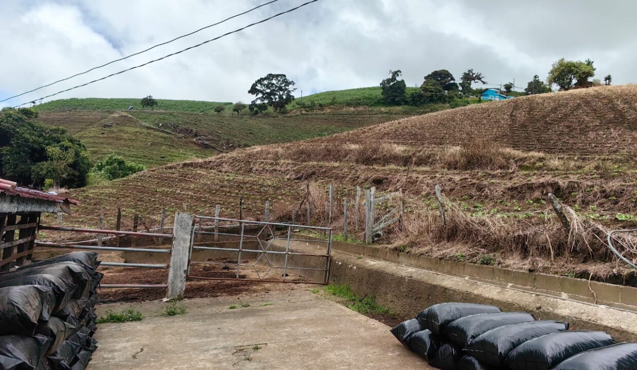 WhatsApp Image 2025-11-06 at 18.12.33