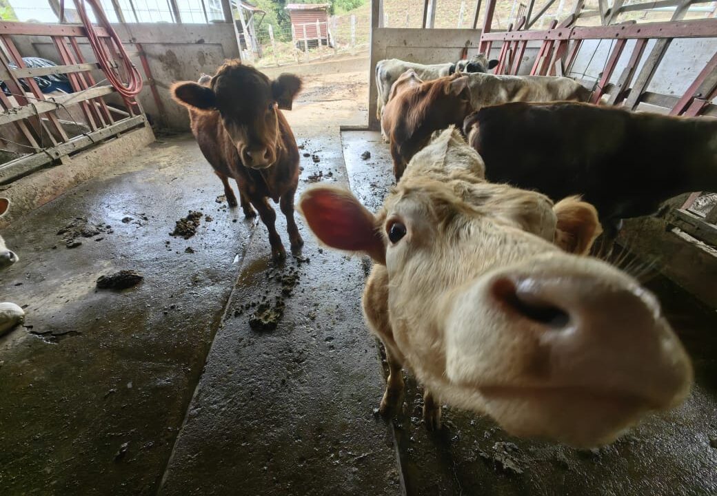 WhatsApp Image 2025-11-06 at 18.12.33 (2)