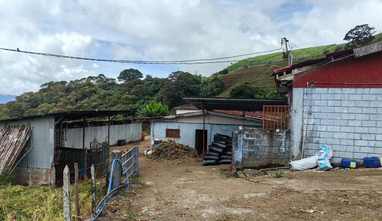 WhatsApp Image 2025-11-06 at 18.12.33 (3)