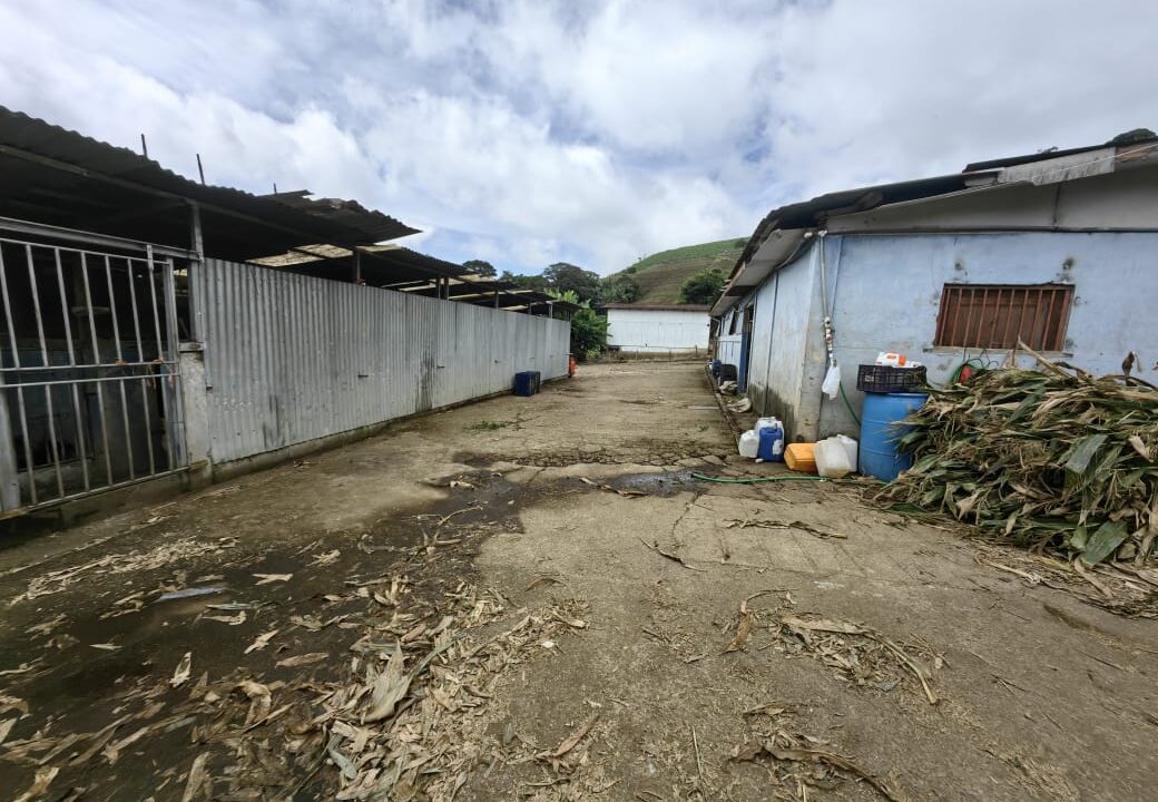 WhatsApp Image 2025-11-06 at 18.39.24