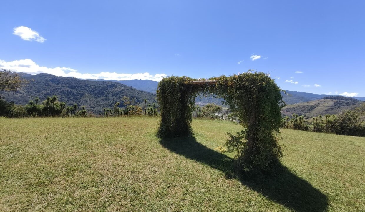 WhatsApp Image 2026-01-27 at 15.03.43 (3)