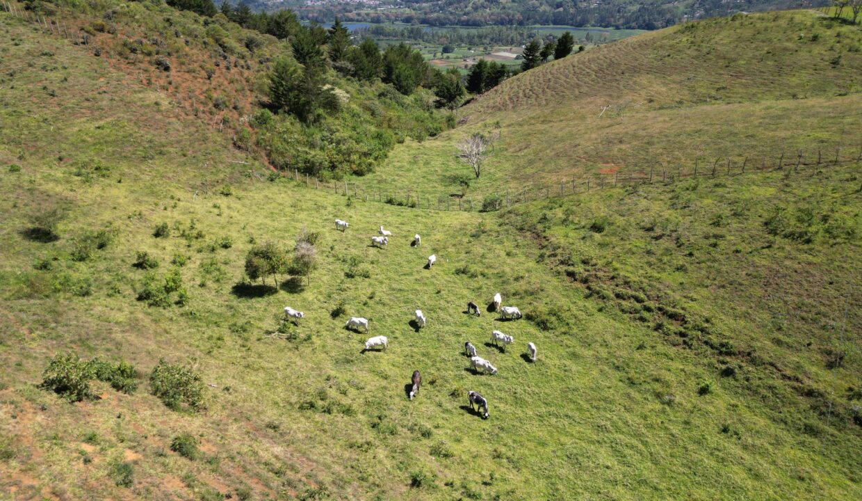 WhatsApp Image 2026-01-28 at 08.54.20 (3)