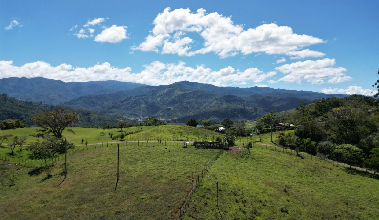 WhatsApp Image 2026-01-28 at 08.54.20 (4)