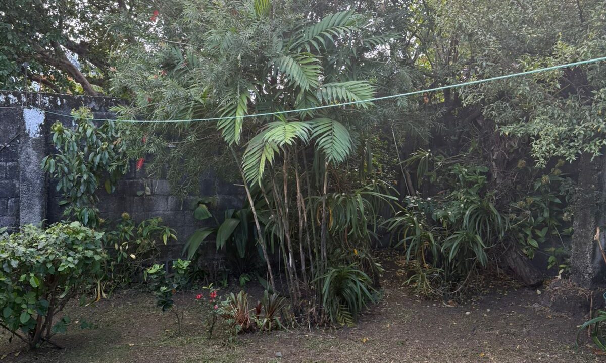 WhatsApp Image 2026-02-11 at 11.55.01 (1)